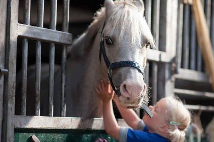 021 Mooi 14 persoons vakantiehuis op een boerderijcamping in Goirle