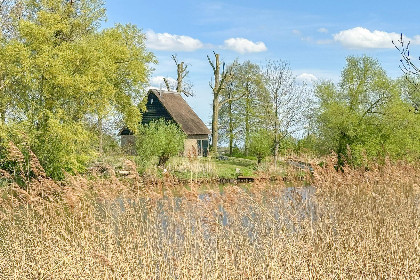 036 Biesboschhuisje