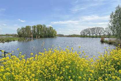 041 Biesboschhuisje