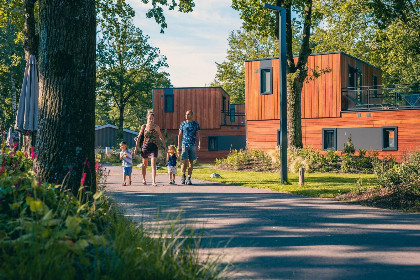 007 Modern chalet voor 6 personen op kindvriendelijk vakantiepark nabij De Efteling