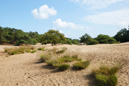 021 t Kaatsheuveltje 1