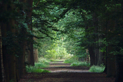 034 t Kaatsheuveltje 2