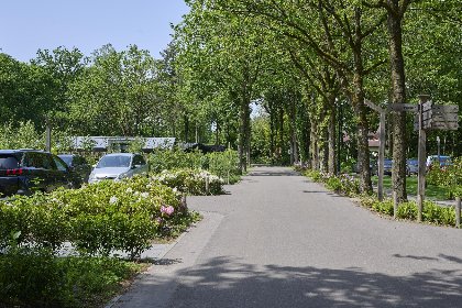 026 Brabants licht