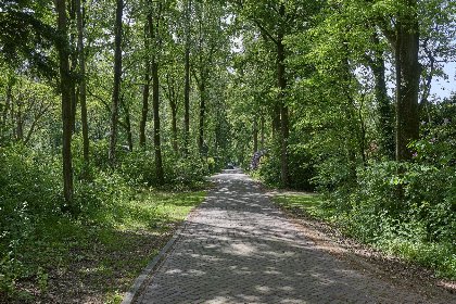 036 Brabants licht