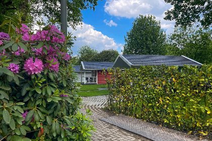 015 Ecovilla Boszicht Comfort | 6 personen 015 Ecovilla Boszicht Comfort | 6 personen