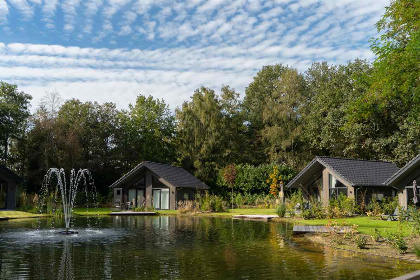 013 Knus 2 persoons tiny house, gelegen op een vakantiepark in een prachtige bosrijke omgeving