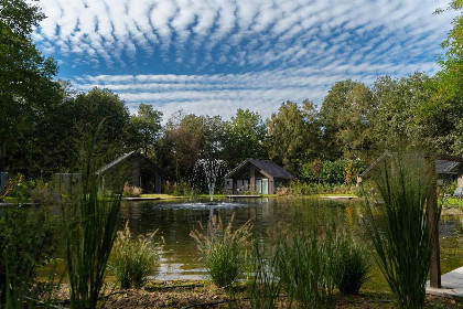 009 Sfeervolle 6 persoons ecovilla met sauna, gelegen in de bosrijke omgeving van Oirschot