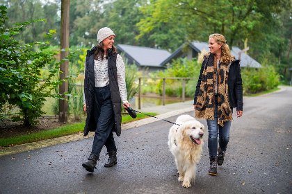 012 Villa Bosrand Comfort | 4 personen