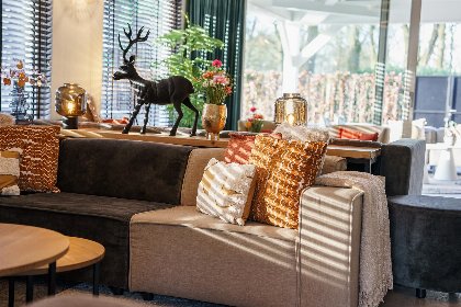 009 Wellness Villa met 2 Sauna's, Jacuzzi 