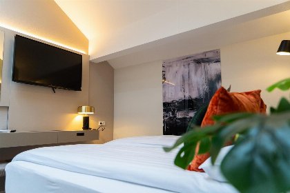 031 Wellness Villa met 2 Sauna's, Jacuzzi 