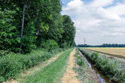 041 Bij de Buren