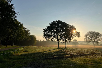 009 De Rouwenbogt