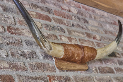 027 De Rouwenbogt