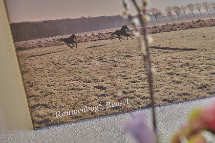 041 De Rouwenbogt