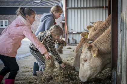 002 Prachtige 14 persoons groepsaccommodatie in de natuur nabij Den Bosch