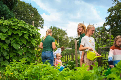 036 Gezellig 4 persoons vakantiehuisje in Noord Brabant