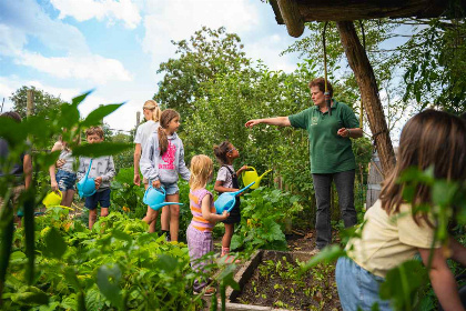 040 Gezellig 4 persoons vakantiehuisje in Noord Brabant