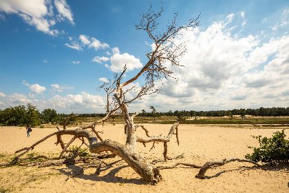 012 Kampeerplaats veld Mol