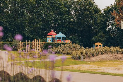 014 Kampeerplaats veld Mol