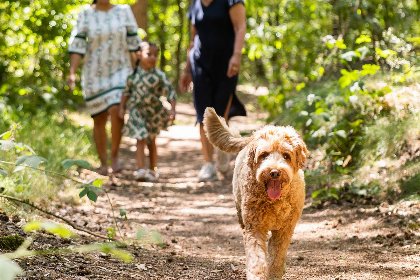 017 Villa Veldzicht | 6 personen