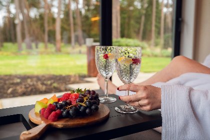 010 Wellness Suite met Hottub, 2 Sauna's 010 Wellness Suite met Hottub, 2 Sauna's