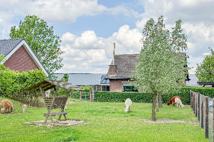 028 Alpacafarm Vorstenbosch