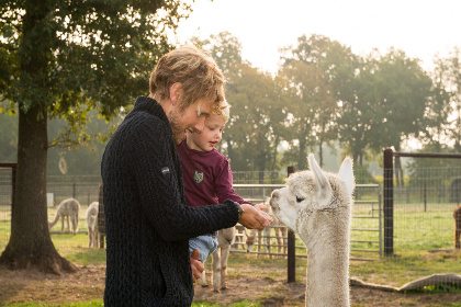 043 Alpacafarm Vorstenbosch