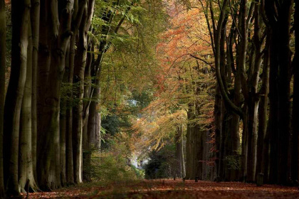 005 Ruime 12 persoons hoeve op historisch Landgoed Bleijendijk nabij Vught