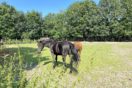 021 Pipowagen het Oventje