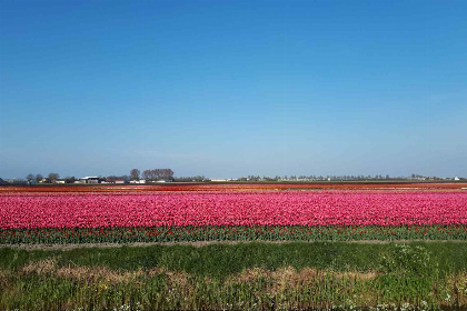 020 Knus 2 persoons vakantiehuis aan het water gelegen in Andijk, West Friesland