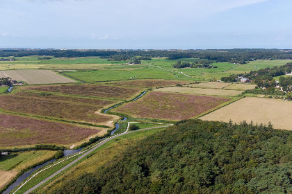 039 Bergens Roodborstje