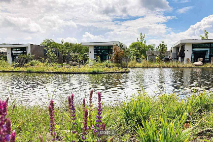 Nederland, Noord-Holland, Berkhout