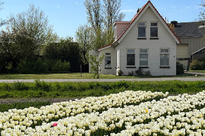 004 Bollenzicht