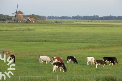 008 Vrijstaand vakantiehuis voor 2 personen vlakbij het strand en de zee