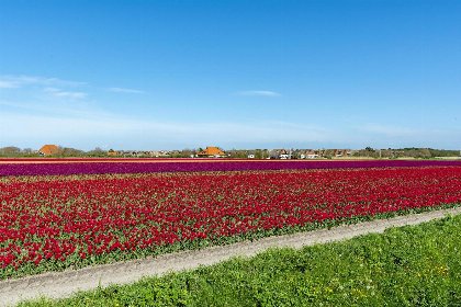 024 De Buitenplaats 7