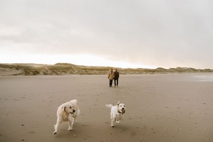 043 Juttershut | Callantsoog | Op een vakantiepark