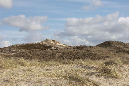 004 Mooi vrijstaand vakantiehuis voor 6 personen in de badplaats Callantsoog