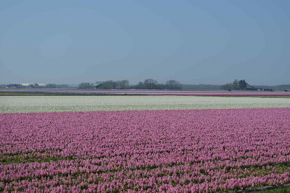 014 Mooi vrijstaand vakantiehuis voor 6 personen in de badplaats Callantsoog