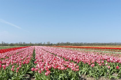 015 Vakantiehuisje Vloed | Callantsoog | Eenvoudig, maar sfeervol ingericht