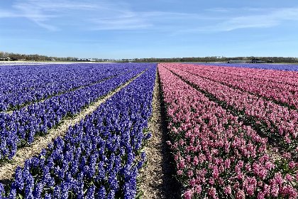 026 Vakantiehuisje Vloed | Callantsoog | Eenvoudig, maar sfeervol ingericht