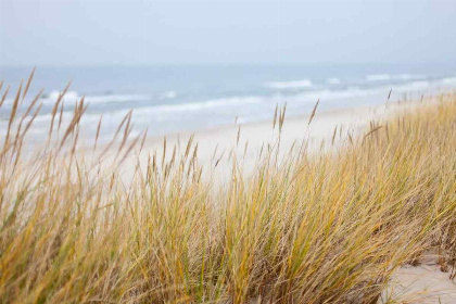 020 Knus 4 persoons vakantiehuis nabij de Koog op Texel