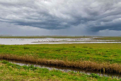 023 Knus 4 persoons vakantiehuis nabij de Koog op Texel