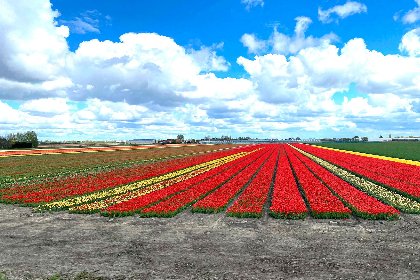 037 Het Zonneschijnhuis