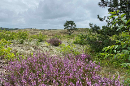 008 Prachtig gelegen 4 persoons vakantiehuisje in Groet, nabij Schoorl