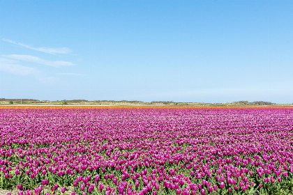 021 Klaproos | Groote Keeten | Terras met windscherm
