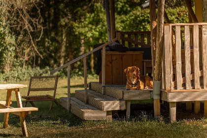 001 De Bos Escape | 5 Pers. | Kachel 