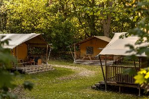 De Bos Tent | 4 Pers De Bos Tent | 4 Pers