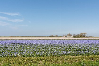 034 Ooghduyne 148 | Julianadorp aan Zee | Omheinde tuin 034 Ooghduyne 148 | Julianadorp aan Zee | Omheinde tuin