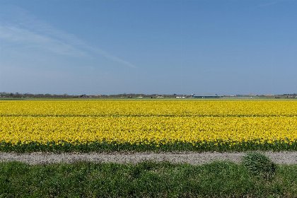 016 Ooghduyne 75 | Julianadorp aan Zee | Riante tuin