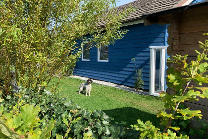 003 Prachtig gelegen 10 persoons vakantiehuis in Julianadorp aan Zee